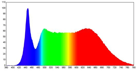 lighting in poultry production