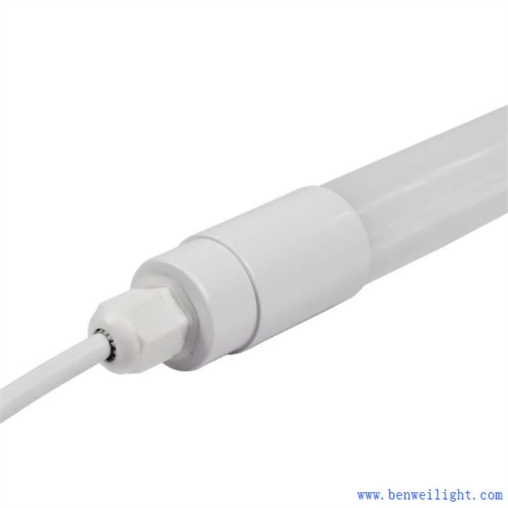 पोल्ट्री बल्ब