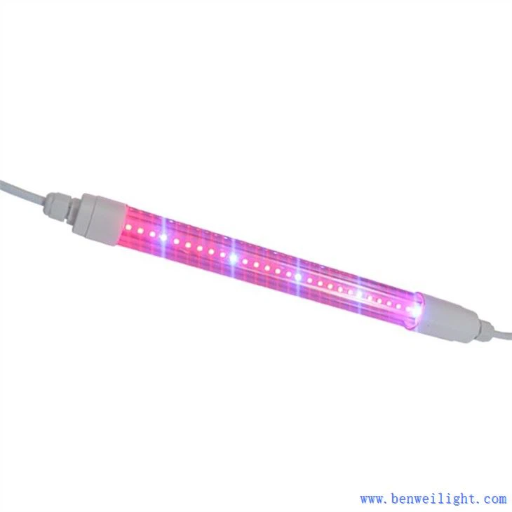 ग्रो लाइट केल्विन और लुमेन्स
