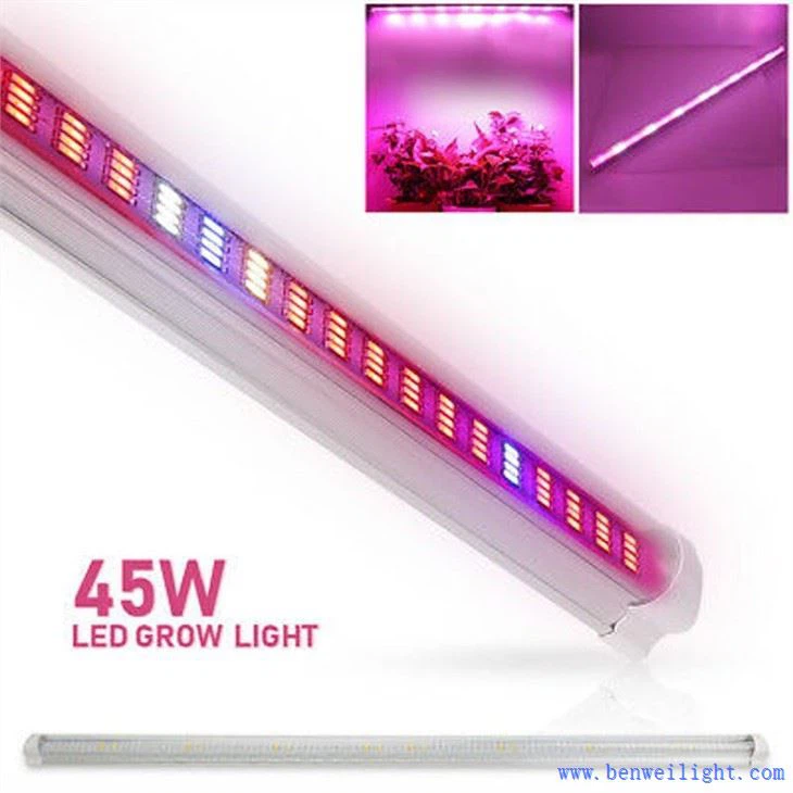 एक ग्रो लाइट