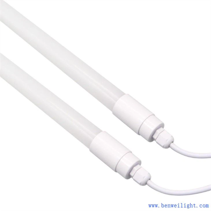 कुक्कुट उत्पादन में प्रकाश