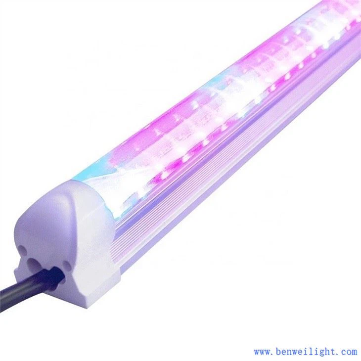 बी ग्रो लाइटिंग