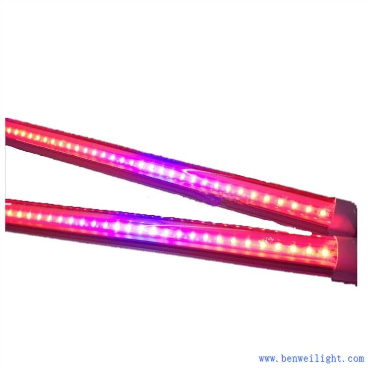 क्या किसी भी प्रकाश का उपयोग ग्रो लाइट के रूप में किया जा सकता है