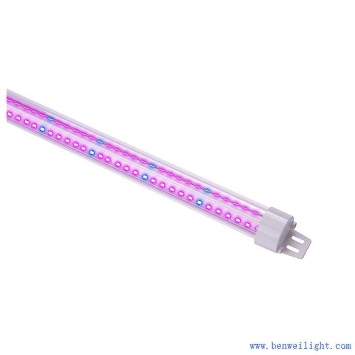 मेरे पास रोशनी बढ़ाओ