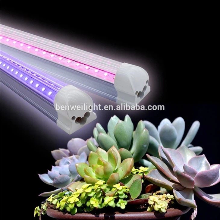 ग्रो लाइट बैटरी पावर्ड