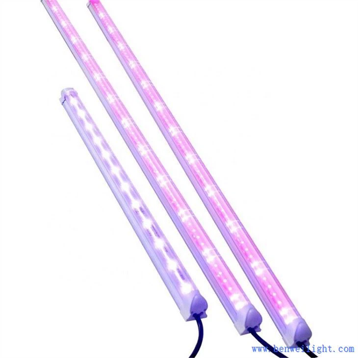 ग्रो लाइट बॉक्स