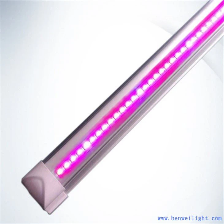 ग्रो लाइट कैबिनेट