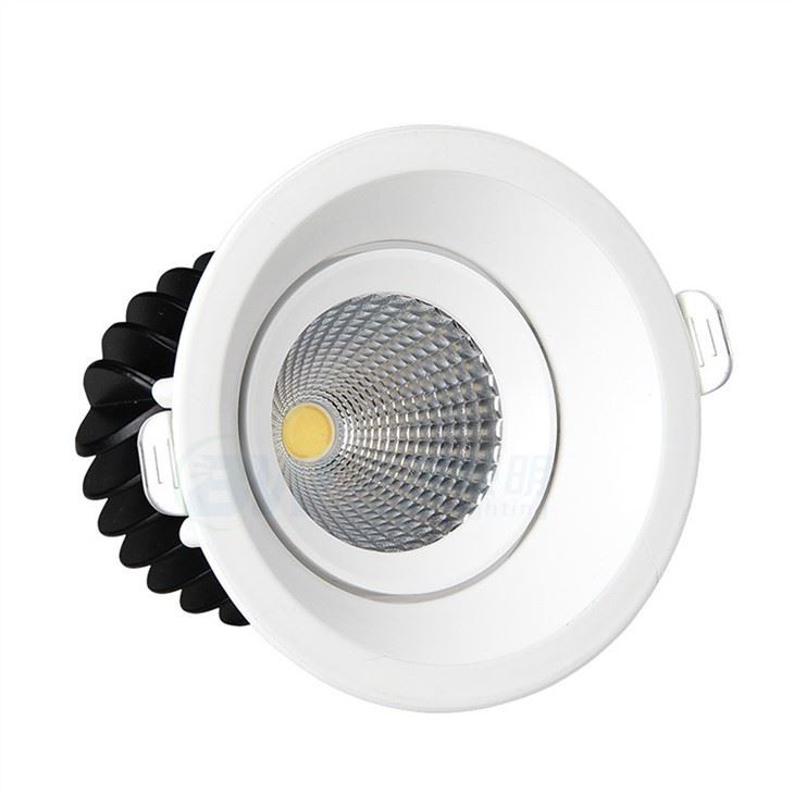 Hue 4 Inch Downlight