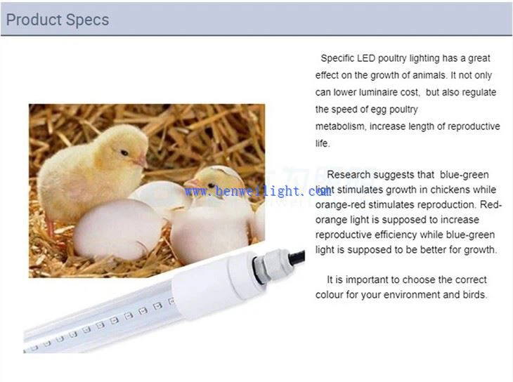 चिकन कॉप के लिए पोल्ट्री लाइट बल्ब