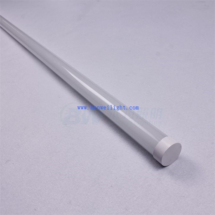 chicken brooder light