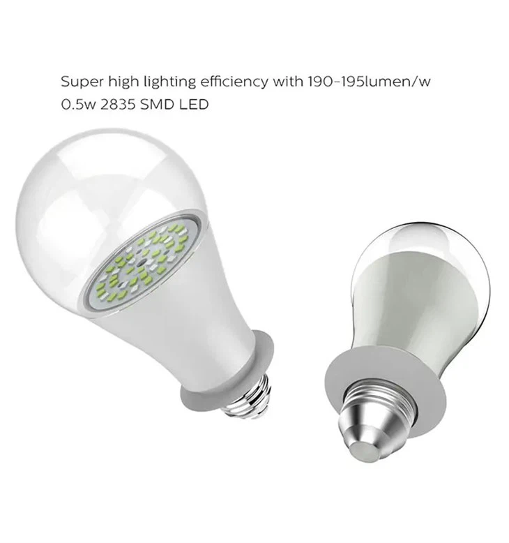 चिकन शेड बल्ब