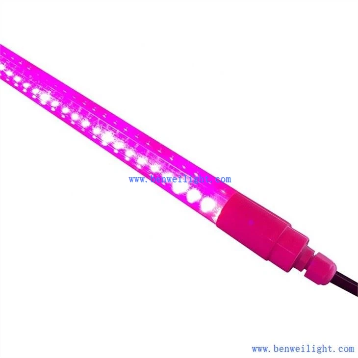 फुल स्पेक्ट्रम T5 ग्रो लाइट