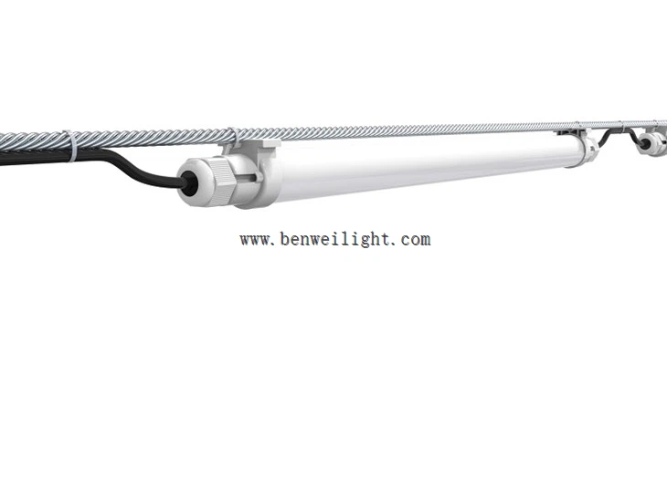 मुर्गियां बिछाने के लिए एलईडी लाइटिंग