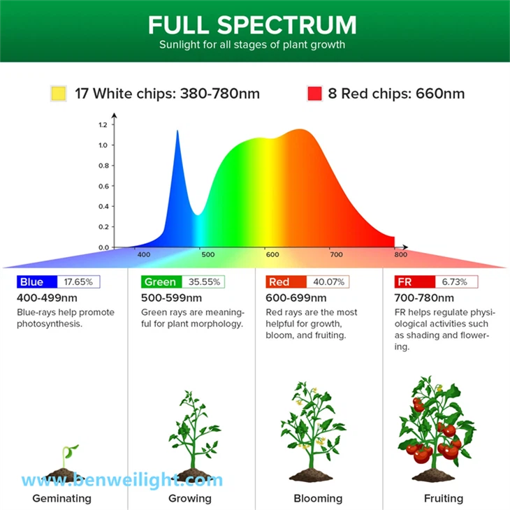 Indoor plant hanging grow light, 25W full spectrum, with timer and 16.4FT power cord, suitable for indoor planting. high quality