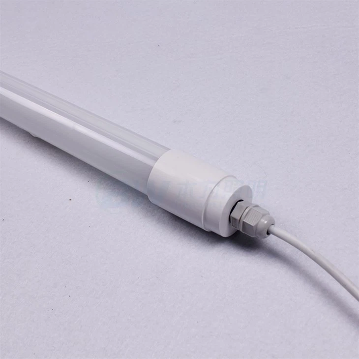 DC12V एलईडी पोल्ट्री लाइट्स