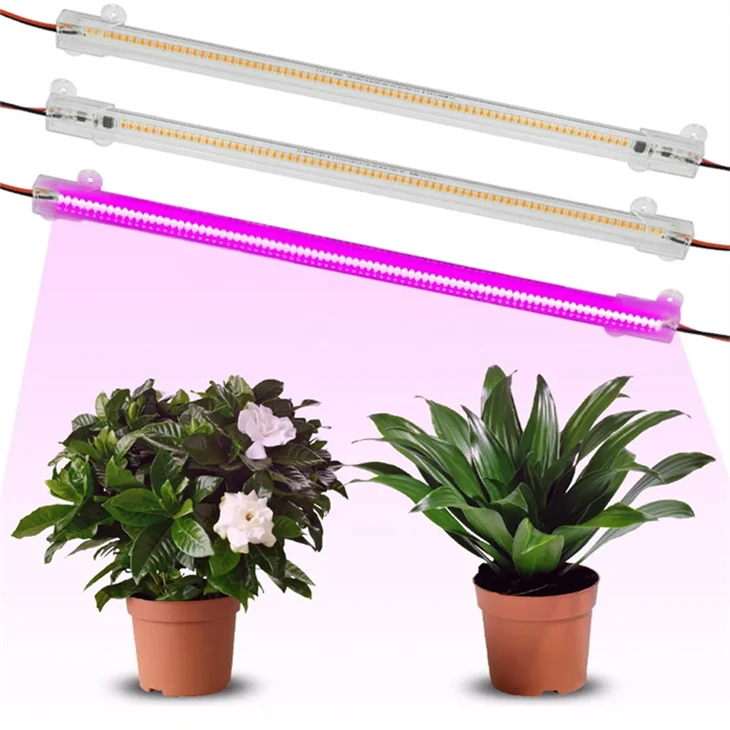 प्रीमियम AC220V SMD रिजिड एलईडी ग्रो लाइट बार - हाइड्रोपोनिक सिस्टम के लिए पूर्ण स्पेक्ट्रम