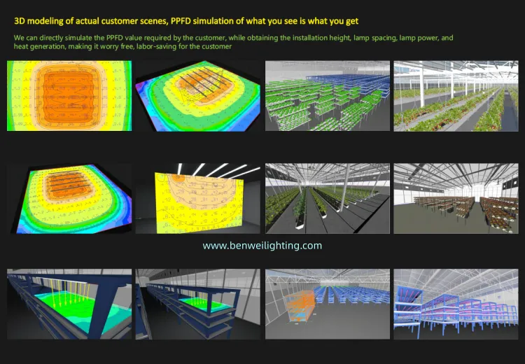 product-750-520 product-750-520